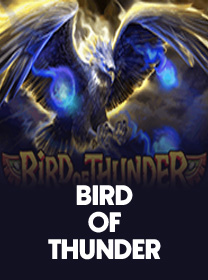 Cara Bermain Bird of Thunder dan Tips Menang Mudah